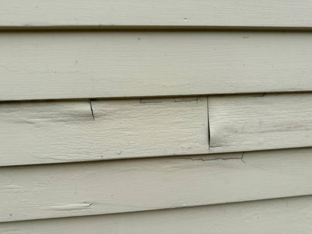 Best Engineered Wood Siding  in Leesburg, OH